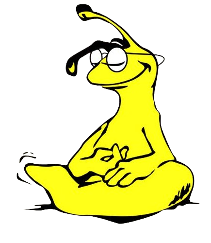 Slug Image Two